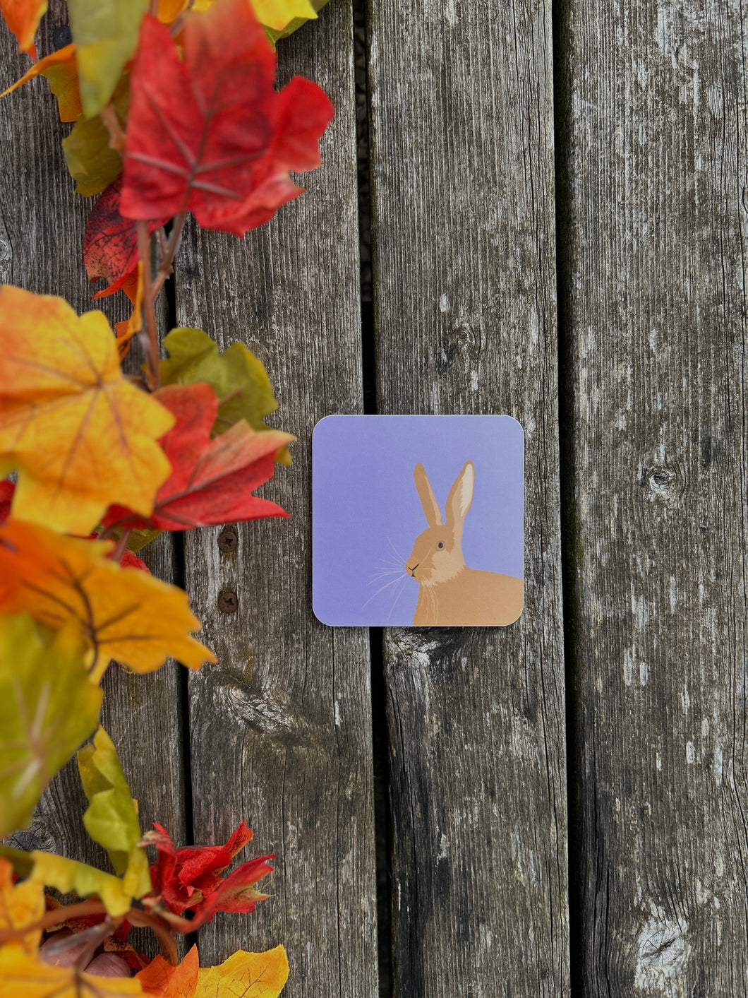 Hare Coaster