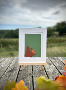 Red Squirrel Print